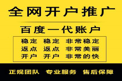 搜索引擎竞价推广实战：行业领先企业的成功秘诀